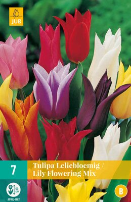 Tulipa leliebloemig mix 7 stuks