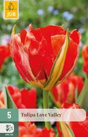Tulipa Love Valley, 5 stuks