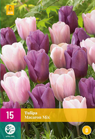 Tulipa macaron mix 15st - afbeelding 2