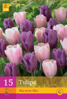 Tulipa macaron mix 15st - afbeelding 1