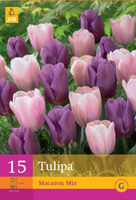 Tulipa macaron mix 15st - afbeelding 3