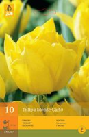 Tulipa monte carlo 7st - afbeelding 4