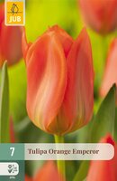 Tulipa Orange Emperor, 7 stuks