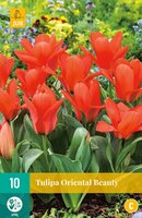 Tulipa oriental beauty 10 stuks