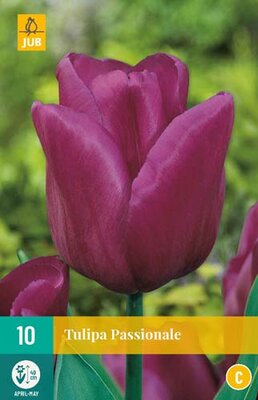 Tulipa passionale 10st - afbeelding 1