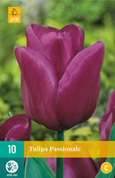 Tulipa passionale 10st - afbeelding 2