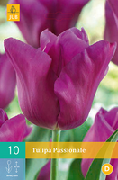 Tulipa passionale 10st - afbeelding 3