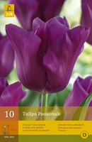 Tulipa passionale 10st - afbeelding 4