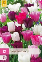 Tulipa Pastel Mix, 12 stuks