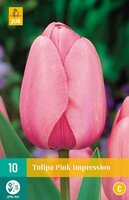 Tulipa pink impression 10st - afbeelding 1