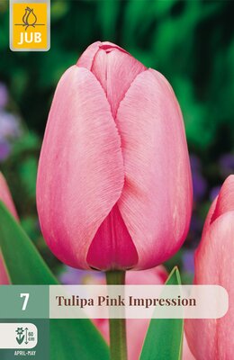 Tulipa Pink Impression, 7 stuks