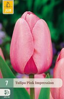 Tulipa Pink Impression, 7 stuks