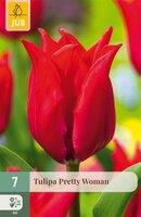 Tulipa Pretty Woman, 7 stuks