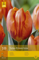 Tulipa prinses irene 7st - afbeelding 4