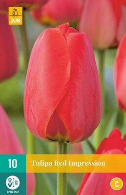 Tulipa red impression 10st - afbeelding 1