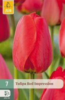 Tulipa Red Impression, 7 stuks