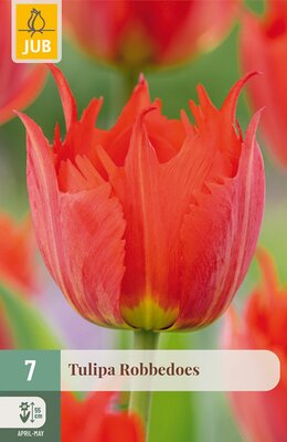 Tulipa Robbedoes, 7 stuks