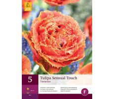 Tulipa sensual touch 5st - afbeelding 2