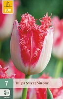 Tulipa Sweet Simone, 7 stuks
