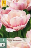 Tulipa Tabledance, 7 stuks