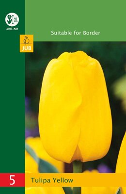 Tulipa triumph geel 5 stuks