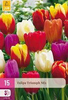 Tulipa Triumph Mix, 15 stuks