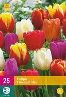 Tulipa triumph mix 25 stuks