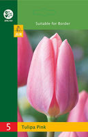 Tulipa triumph roze 5st - afbeelding 2
