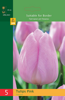 Tulipa triumph roze 5st - afbeelding 2