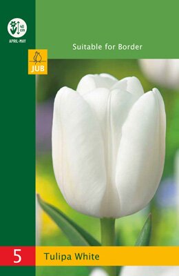 Tulipa triumph wit 5 stuks