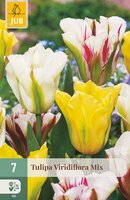 Tulipa viridiflora Mix, 7 stuks