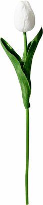 tulpen bosje 10 stuks - afbeelding 1
