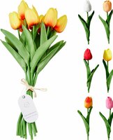 tulpen bosje 10 stuks - afbeelding 2