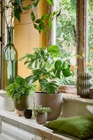 Tusca pot rond groen - h6,5xd7,5cm - afbeelding 3