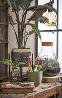 Tusca pot rond groen - H9 x Ø10 cm - afbeelding 3