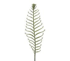 Varenblad l50cm groen, kunstplant