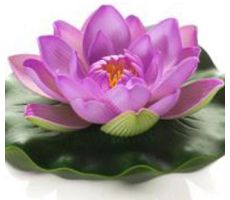 VELDA Lotus foam roze 17cm