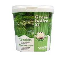 VELDA Supergroeibollen xl - afbeelding 2