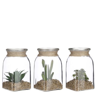 Vetplant groen 3 assorti - h19,5xd11cm