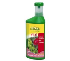 Vital weerstandverhoger, Ecostyle, 250 ml