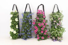 Wandhanger zak, perkgoed, mix soorten, 60 cm hoog - afbeelding 2