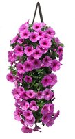 Wandhanger zak, perkgoed, mix soorten, 60 cm hoog - afbeelding 1