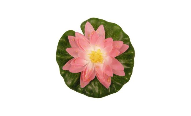 Waterlelie 14cm roze - afbeelding 1