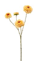 Zinniasteel x4, 85 cm, beige